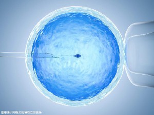 张暖春主任